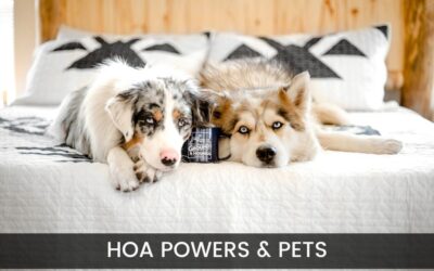 HOA Powers & Pets