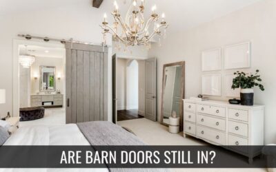 Are Barn Doors Still In?