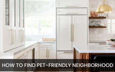 How to Find a Pet-Friendly Neighborhood